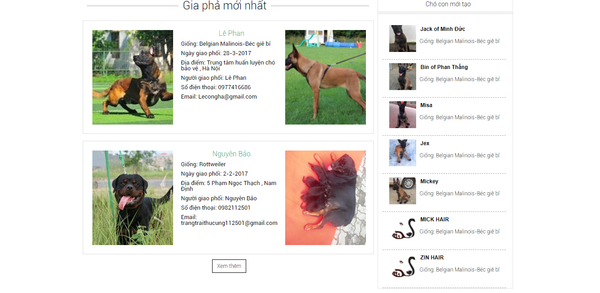 Gia phả mới nhất - Sputnik Việt Nam