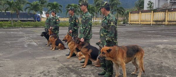 Những chú chó này được xem là vũ khí sống. - Sputnik Việt Nam