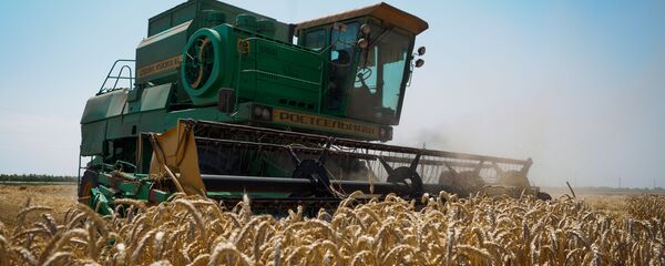 Уборка пшеницы в Краснодарском крае - Sputnik Việt Nam