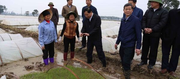 Bộ trưởng lội ruộng cùng nông dân, Bắc Ninh treo thưởng 100 triệu cấy nhanh - Sputnik Việt Nam