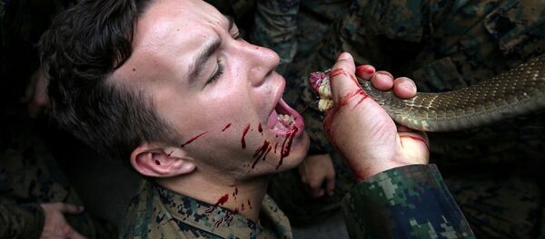 Lính thủy quân lục chiến trong quá trình huấn luyện kỹ năng sinh tồn trong rừng -  một phần cuộc tập trận chung Cobra Gold 2018 ở Thái Lan. - Sputnik Việt Nam