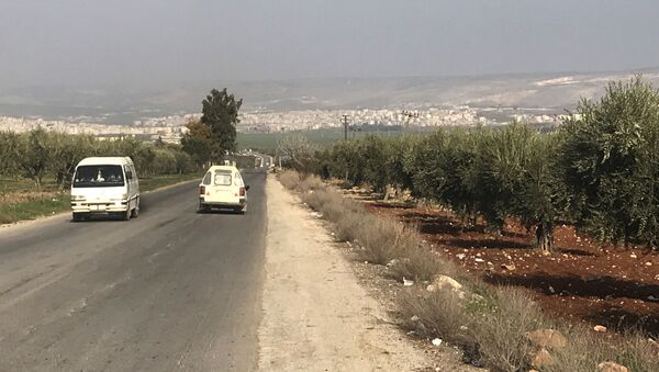 Afrin - Sputnik Việt Nam