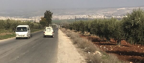Afrin - Sputnik Việt Nam