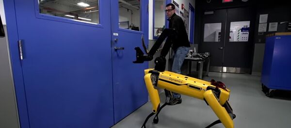 Cuộc đấu hy hữu của chó robot với người - Sputnik Việt Nam