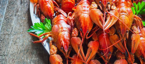 món tôm luộc - Sputnik Việt Nam