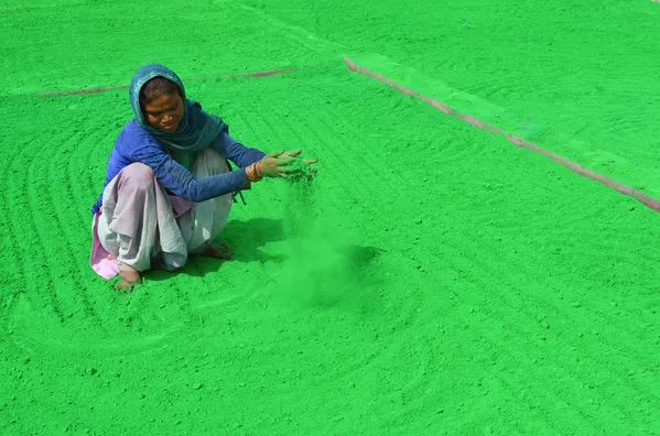Người phụ nữ chuẩn bị bột màu trước lễ hội Holi ở Ấn Độ Người phụ nữ chuẩn bị bột màu trước lễ hội Holi ở Ấn Độ - Sputnik Việt Nam