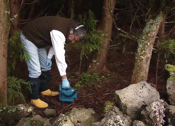 Căn cứ Mỹ trên đảo Terceira, Bồ Đào Nha Căn cứ Mỹ trên đảo Terceira, Bồ Đào Nha - Sputnik Việt Nam