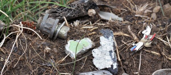 Tại hiện trường rơi máy bay Boeing-777 của Malaysia, thực hiện chuyến MH17 vào tháng 7 năm 2014 - Sputnik Việt Nam