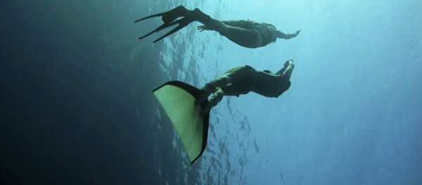 Chuyên viên lặn tự do Chuyên viên lặn tự do - Sputnik Việt Nam