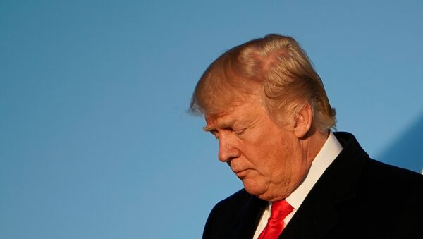 US President Donald Trump steps off Air Force One upon return to Andrews Air Force in Maryland on January 18, 2018 - Sputnik Việt Nam