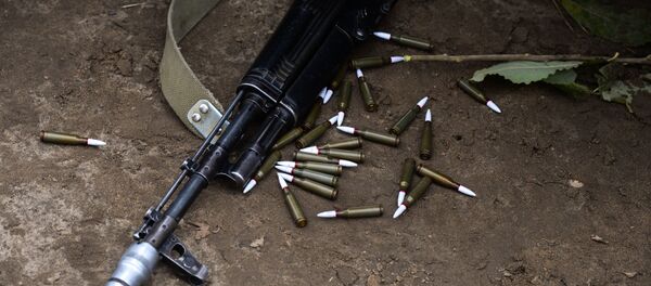 Автомат и патроны - Sputnik Việt Nam