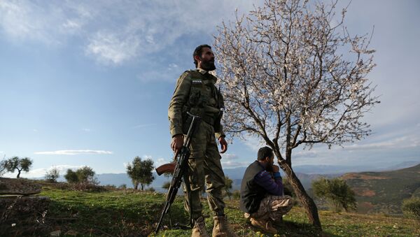 Quân đội Tự do Syria tại Afrin - Sputnik Việt Nam