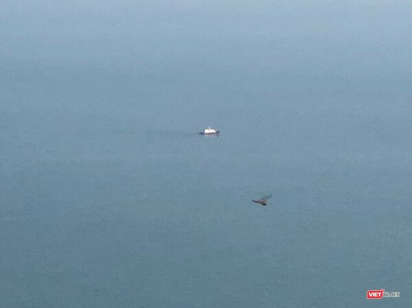 Đúng 9h, tàu hoa tiêu của cảng vụ Đà Nẵng đã ra khơi - Sputnik Việt Nam