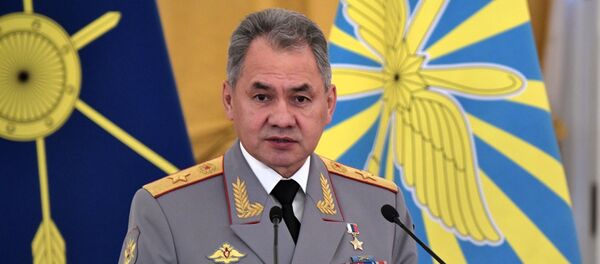Người đứng đầu Bộ Quốc phòng Nga, Đại tướng Sergei Shoigu - Sputnik Việt Nam