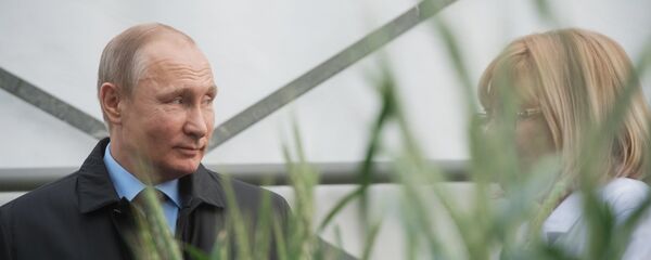 Tổng thống Nga Vladimir Putin - Sputnik Việt Nam