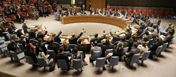 Hội đồng Bảo an Liên Hợp Quốc - Sputnik Việt Nam