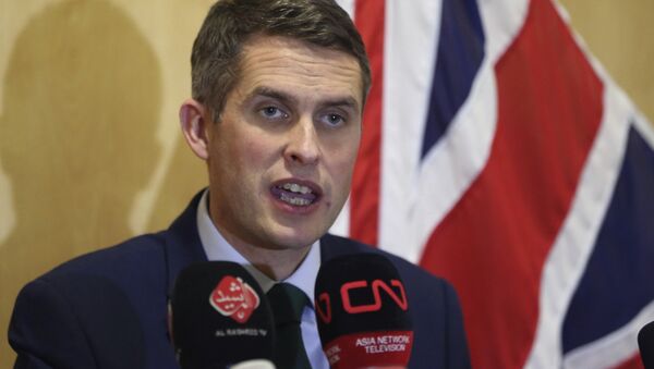 Gavin Williamson - Sputnik Việt Nam