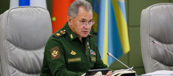 Sergei Shoigu - Sputnik Việt Nam