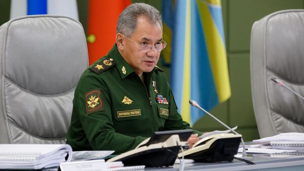 Sergei Shoigu - Sputnik Việt Nam