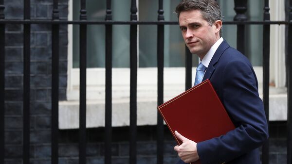 Gavin Williamson - Sputnik Việt Nam