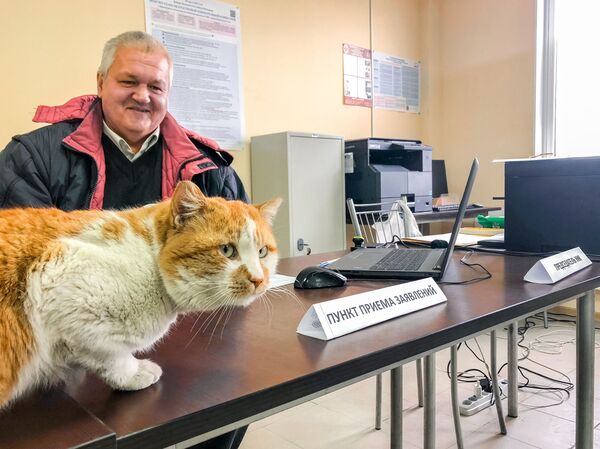 Mèo Mostik kiểm tra việc chuẩn bị bầu cử - Sputnik Việt Nam