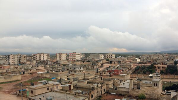 A general view shows the Kurdish town of Jandairis near the Syrian-Turkish border, west of the city of Afrin - Sputnik Việt Nam