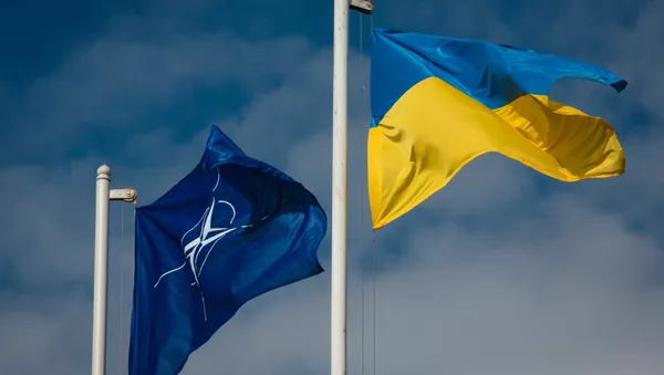 Ukraina NATO