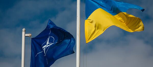 National flag of Ukraine and the NATO flag - Sputnik Việt Nam