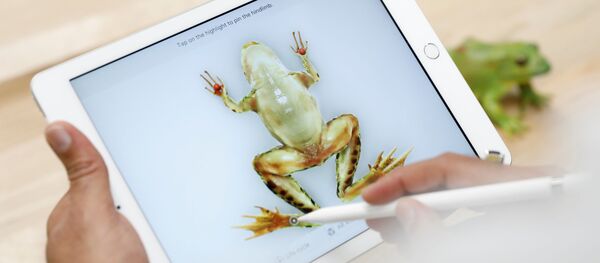 máy tính bảng iPad phiên bản mới với màn hình 9,7 inch - Sputnik Việt Nam