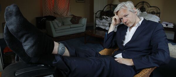 người sáng lập WikiLeaks Julian Assange - Sputnik Việt Nam