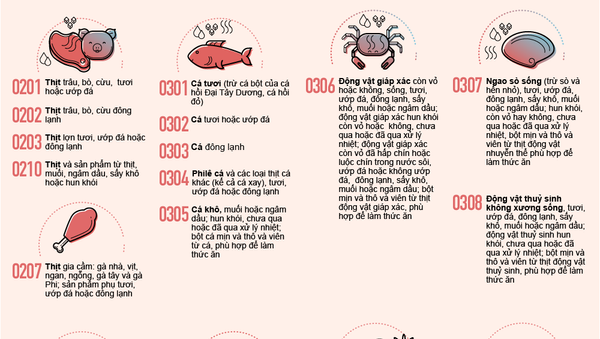 Cấm vận với nhập khẩu thực phẩm - Sputnik Việt Nam