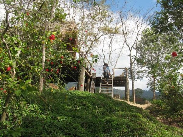 Ngôi nhà sàn ông Long ở trong những ngày luyện tập ở M'drak  - Sputnik Việt Nam