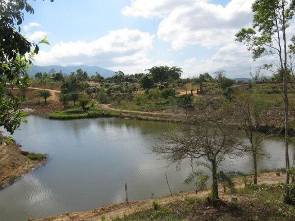 Khu vườn thiêng nhìn từ ngôi nhà sàn ông Long ở trong những ngày ở Trang trại M'drak - Sputnik Việt Nam