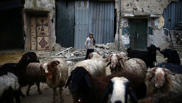 Đông Ghouta, Syria - Sputnik Việt Nam