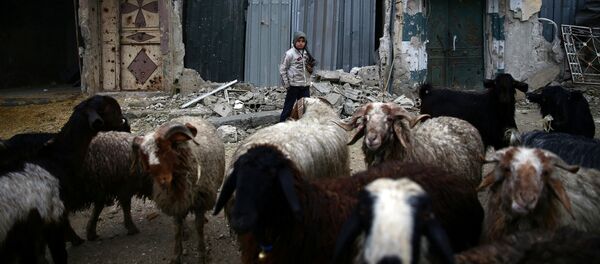 Đông Ghouta, Syria - Sputnik Việt Nam