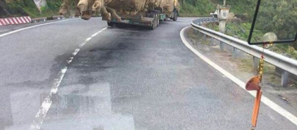 Trước đó, CTV Dân trí phát hiện cây khủng này được vận chuyển qua Đèo Phượng Hoàng nằm giữa hai tỉnh Đắk Lắk và Khánh Hòa. Chiếc xe theo QL 26 chạy về QL 1A rồi đi ra Bắc. - Sputnik Việt Nam