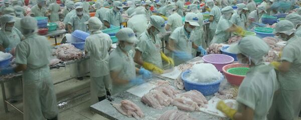 Theo kết hoạch, đơn kiện DOC sẽ được các luật sư của VASEP nộp trong tuần này Theo kết hoạch, đơn kiện DOC sẽ được các luật sư của VASEP nộp trong tuần này - Sputnik Việt Nam