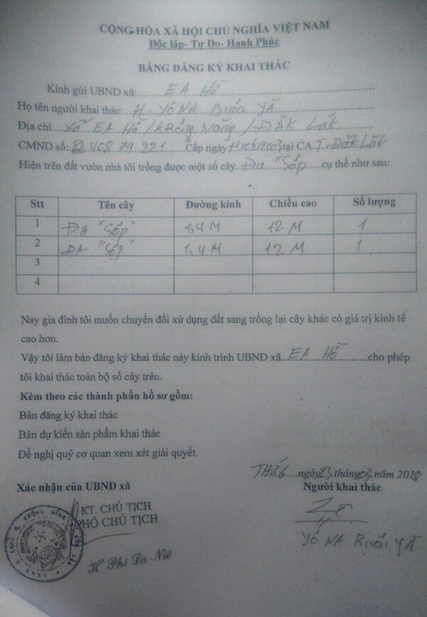 Hồ sơ về nguồn gốc 2 trong 3 cây cổ thụ bị CSGT bắt giữ tại Huế nghi bị làm giả. - Sputnik Việt Nam