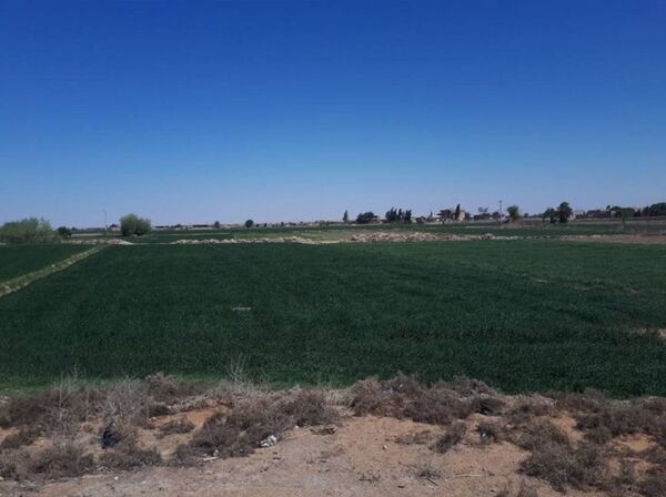 Deir ez-Zor - Sputnik Việt Nam