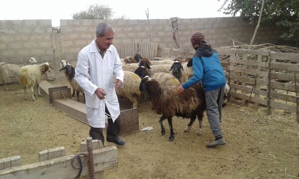 Deir ez-Zor - Sputnik Việt Nam