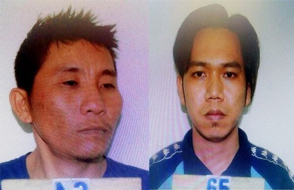 Hai đối tượng Tâm và Đỏ - Sputnik Việt Nam