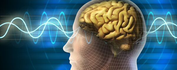 Não - Sputnik Việt Nam