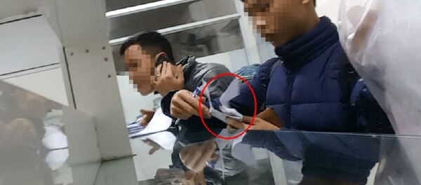 Các “chạy lệnh” viên đang làm thủ tục thông quan cho hàng hóa. - Sputnik Việt Nam