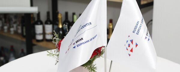 Lễ giới thiệu Nhà thương mại của Tập đoàn Trung tâm xuất khẩu Nga (REC) ở Việt Nam. - Sputnik Việt Nam