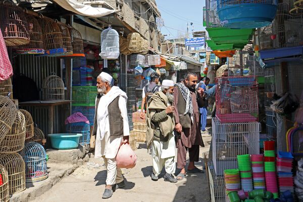 Chợ chim ở thủ đô Afghanistan - Sputnik Việt Nam