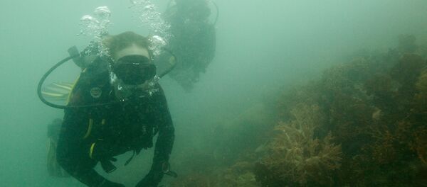 Những người thợ chuyên nghiệp trong khi lặn Những người thợ chuyên nghiệp trong khi lặn - Sputnik Việt Nam