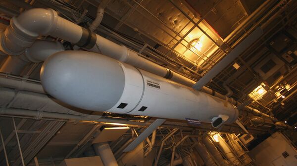 Tomahawk - Sputnik Việt Nam