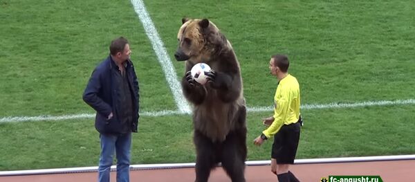 Khai trương trận đấu bóng đá tại Piatigorsk là một chú gấu Khai trương trận đấu bóng đá tại Piatigorsk là một chú gấu - Sputnik Việt Nam