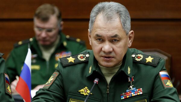 Sergei Shoigu - Sputnik Việt Nam