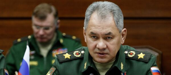 Sergei Shoigu Sergei Shoigu - Sputnik Việt Nam
